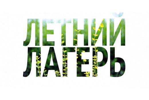 Профильные смены на базе Регионального центра выявления и поддержки одарённых детей в области искусства спорта и науки в Республике Коми «Академия юных талантов».